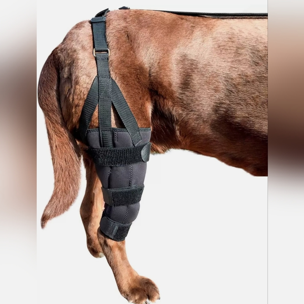 Labra DOG Knee Brace Wrap Metal Splint Hinged Flex Support Medium Left Hind NEW
